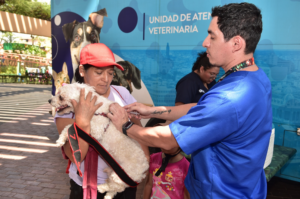 PERRITOS D