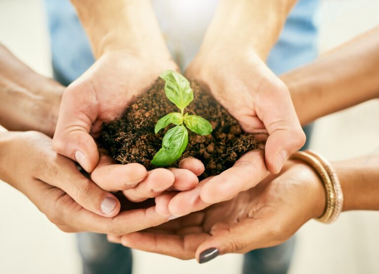 Teamwork,,People,And,Hands,With,Plant,For,Support,,Growth,And