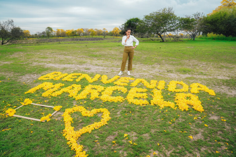 Florecimiento de guayacanes en Lomas de Sargentillo impulsa el turismo rural en el Guayas.