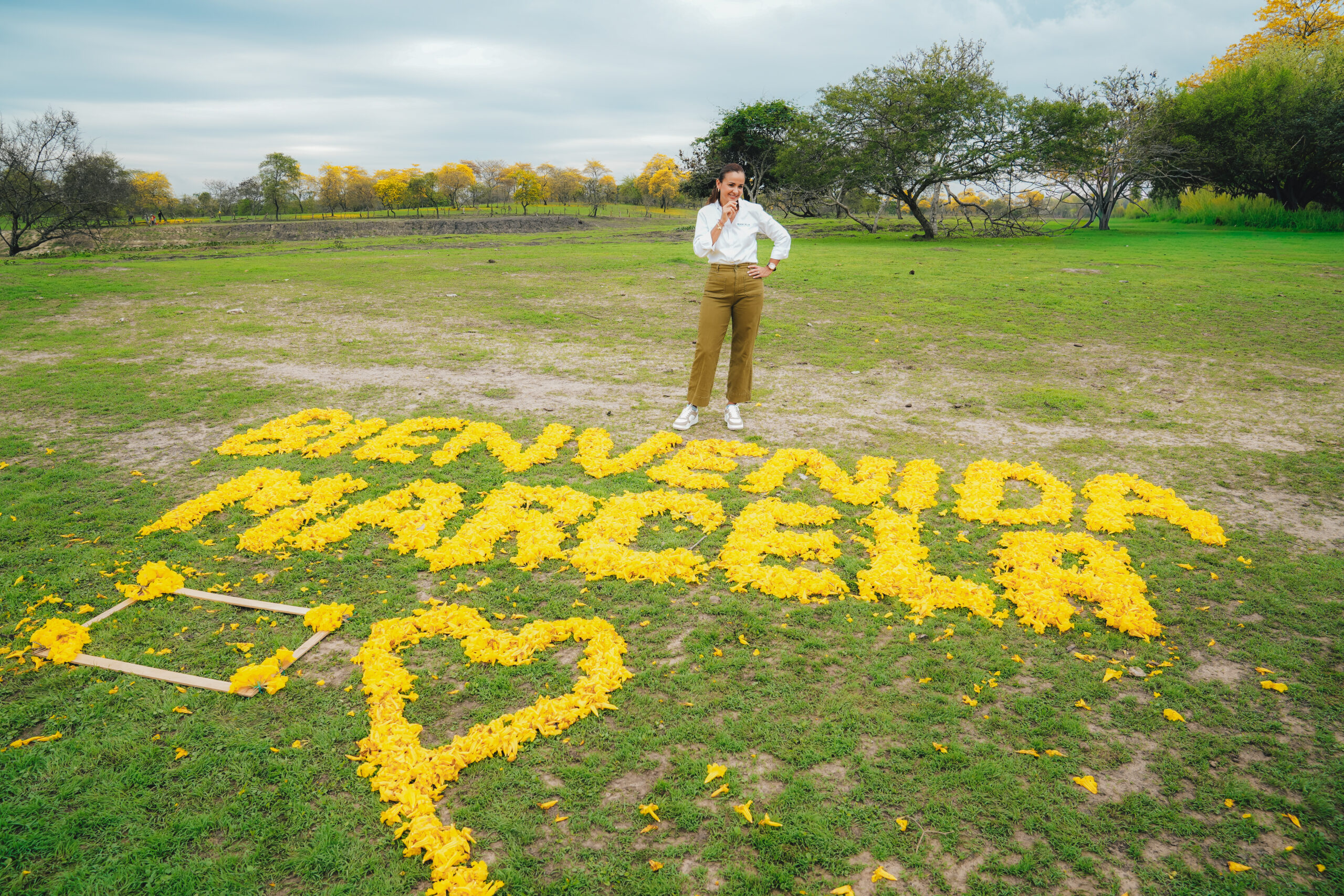 Florecimiento de guayacanes en Lomas de Sargentillo impulsa el turismo rural en el Guayas.