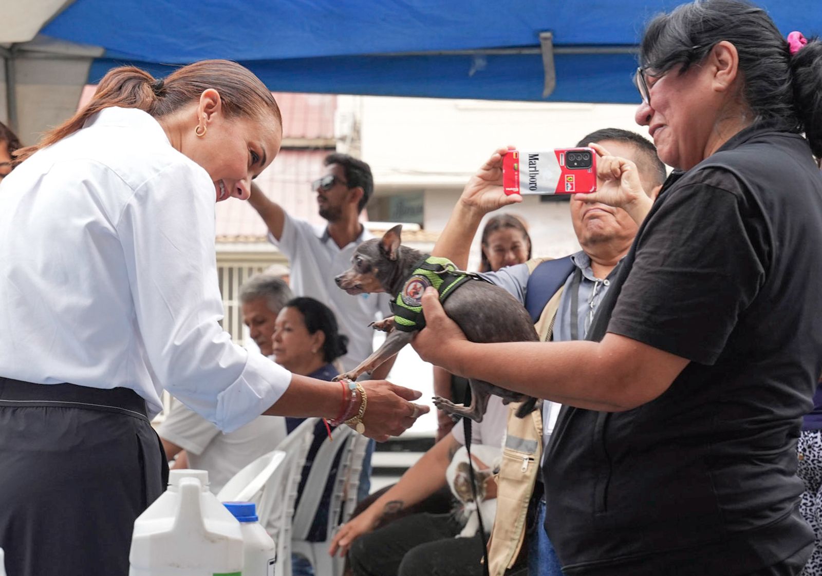 WhatsApp Image 2026-01-22 at 11.00.41