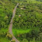 55164596629_aeb29b9320_c