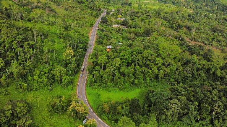 55164596629_aeb29b9320_c