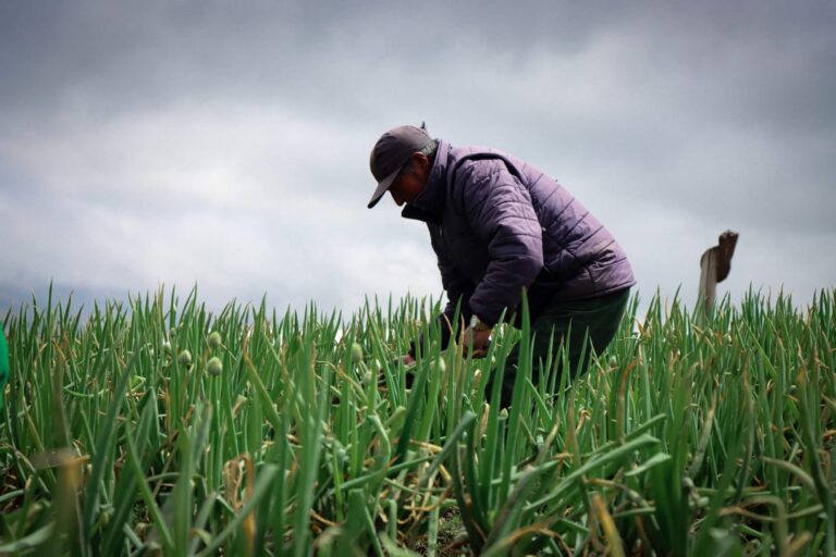 WhatsApp Image 2026-03-06 at 11.53.44 AM