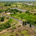 55193503121_22d42afdaf_c