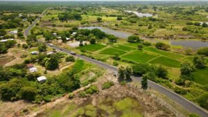 55193503121_22d42afdaf_c