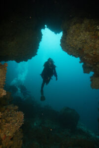 GALÁPAGOS BUCEO OCHOA 1585_DxO.JPG