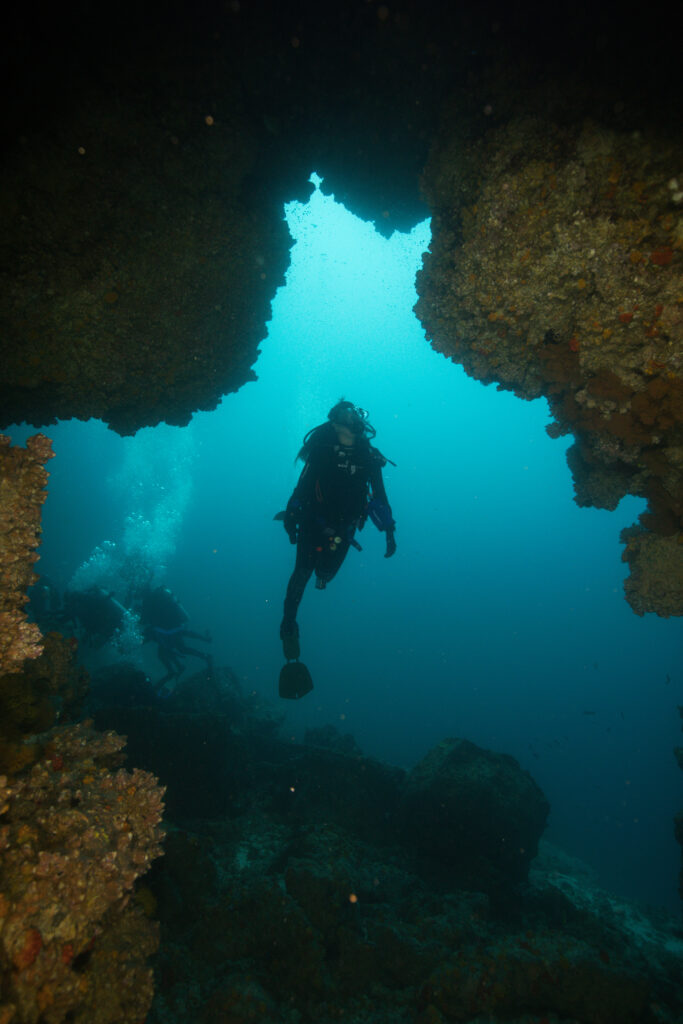 GALÁPAGOS BUCEO OCHOA 1585_DxO.JPG