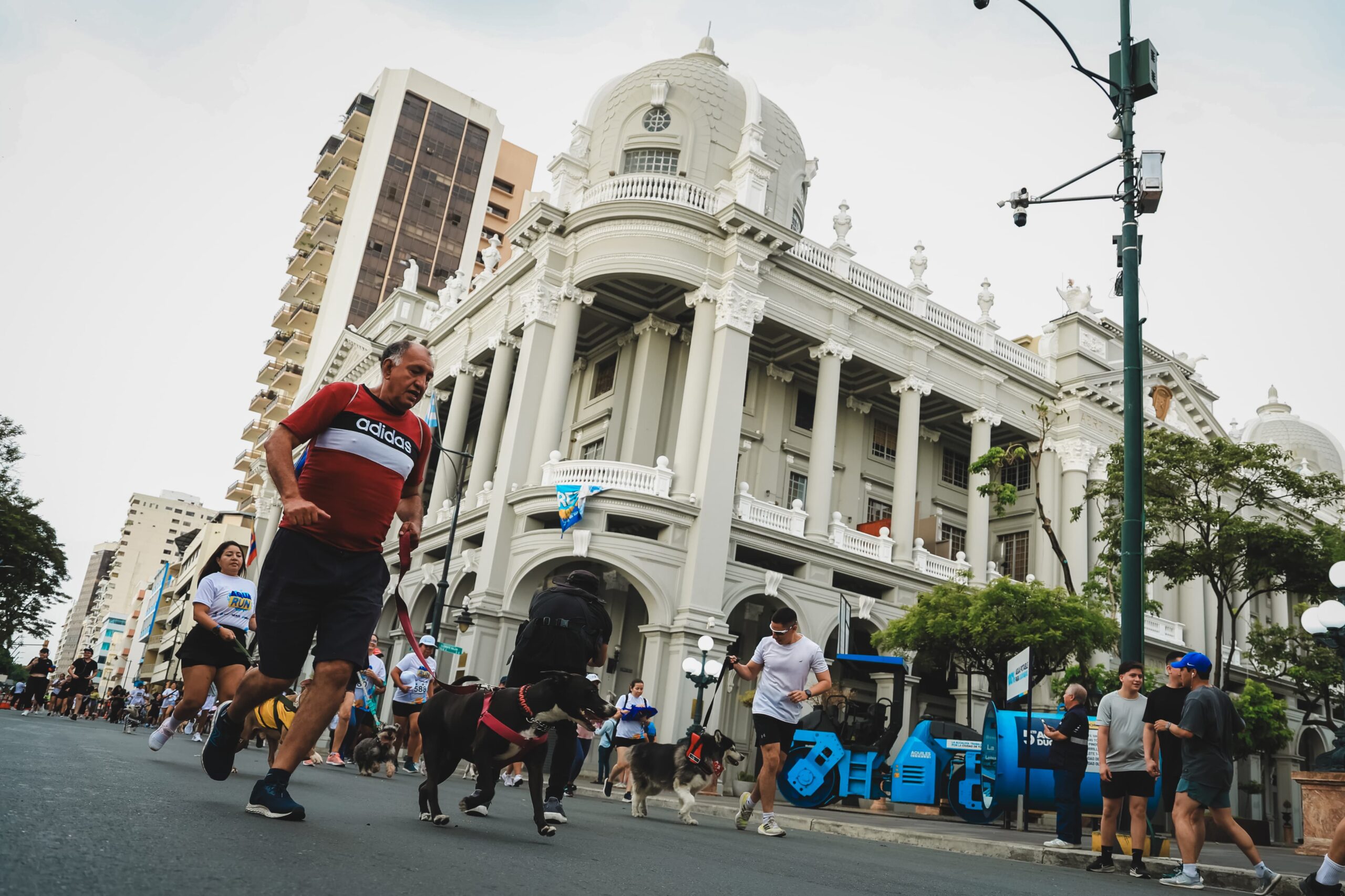 WhatsApp Image 2026-03-29 at 09.47.00