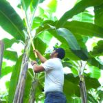 INNOVACIÓN BIOLÓGICA Y SOSTENIBILIDAD MARCAN EL FUTURO DEL AGRO