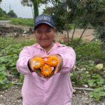 AGROVIOLETA1.jpg