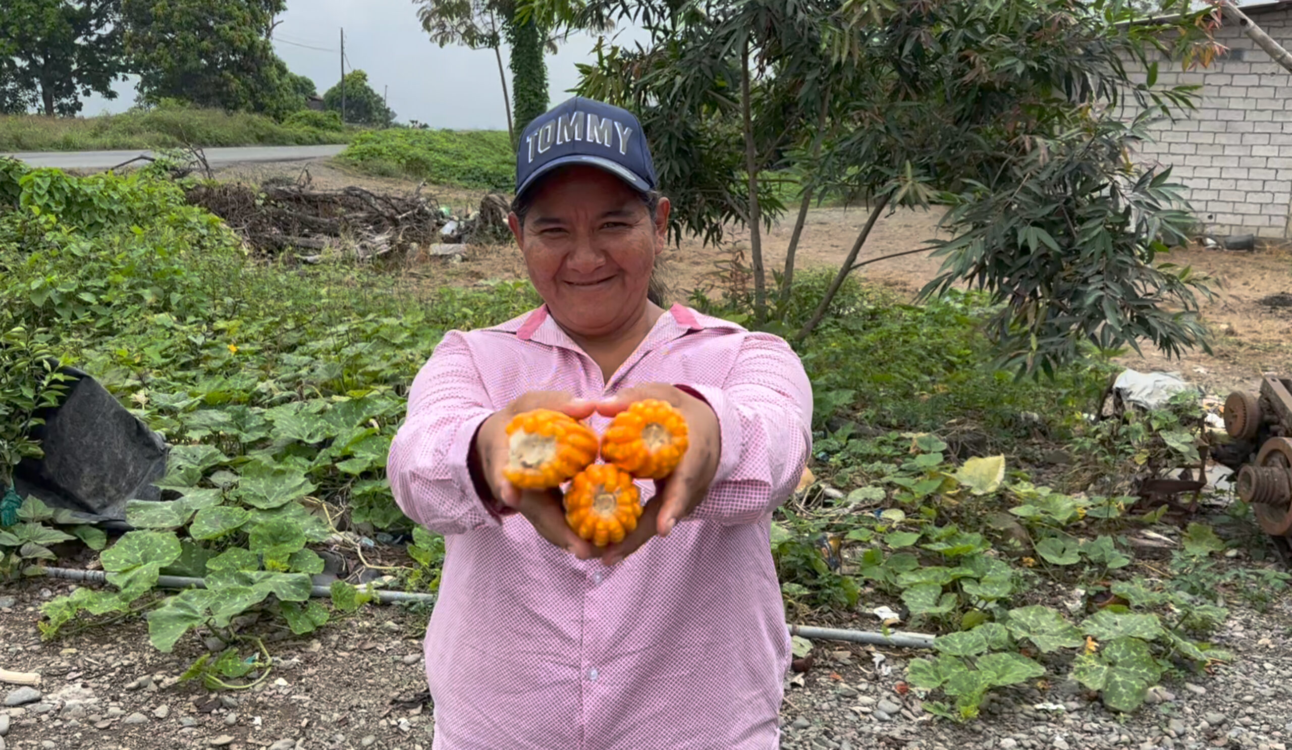 AGROVIOLETA1.jpg